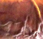 Very closeup of Lucky (my penis)