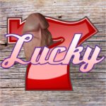 Lucky7